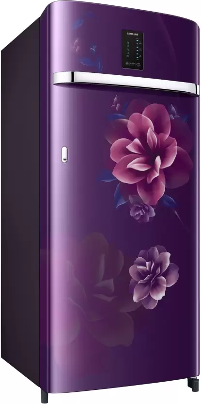 Samsung 215 L Direct Cool Single Door 3 Star Refrigerator (RR23C2E23CR/HL)