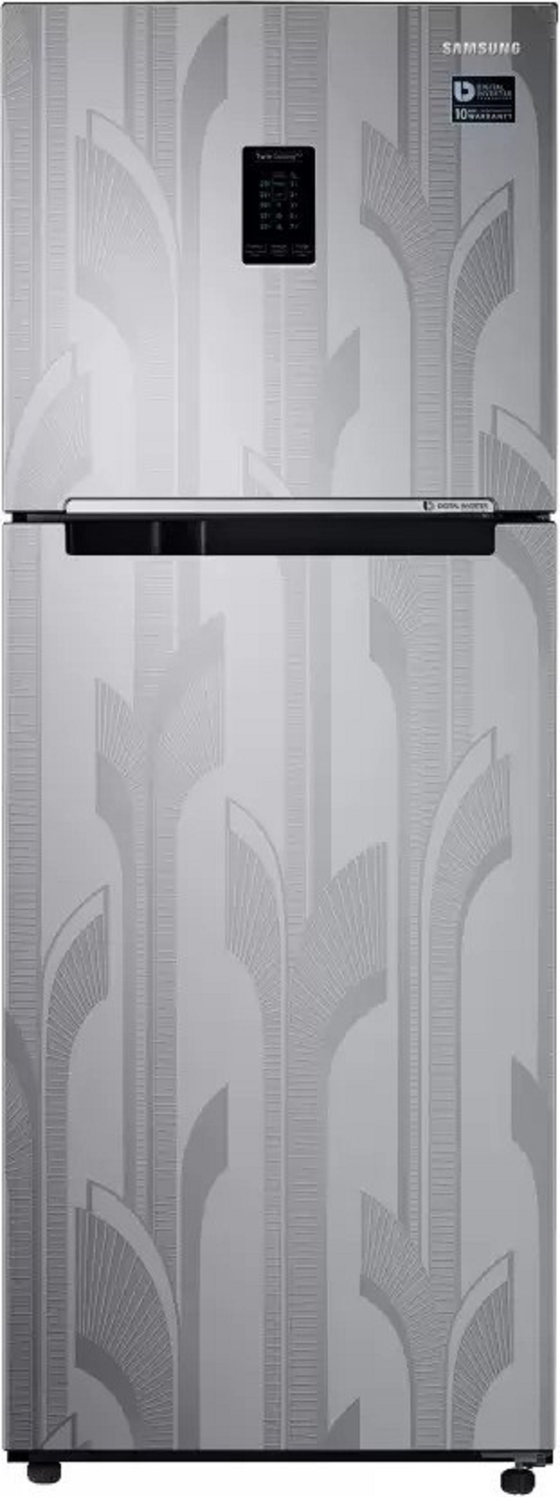 Samsung 301 L Frost Free Double Door 2 Star Refrigerator (RT34C4522YS/HL)