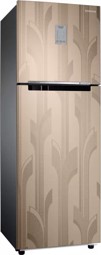 Samsung 256 L Frost Free Double Door 2 Star Refrigerator (RT30C3732YB/HL)