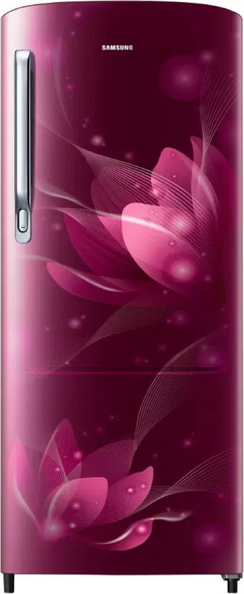 Samsung 183 L Direct Cool Double Door 2 Star Refrigerator (RR20C1712R8/HL)