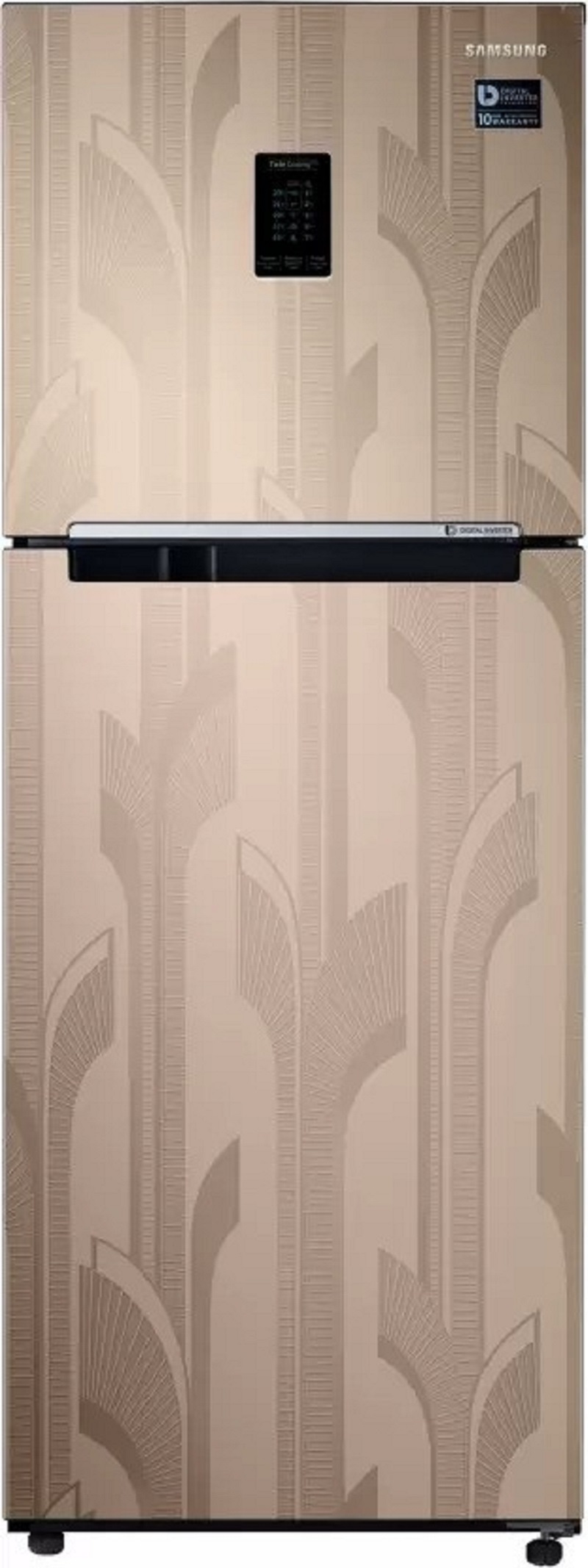 Samsung 301 L Frost Free Double Door 2 Star Refrigerator (RT34C4522YB/HL)