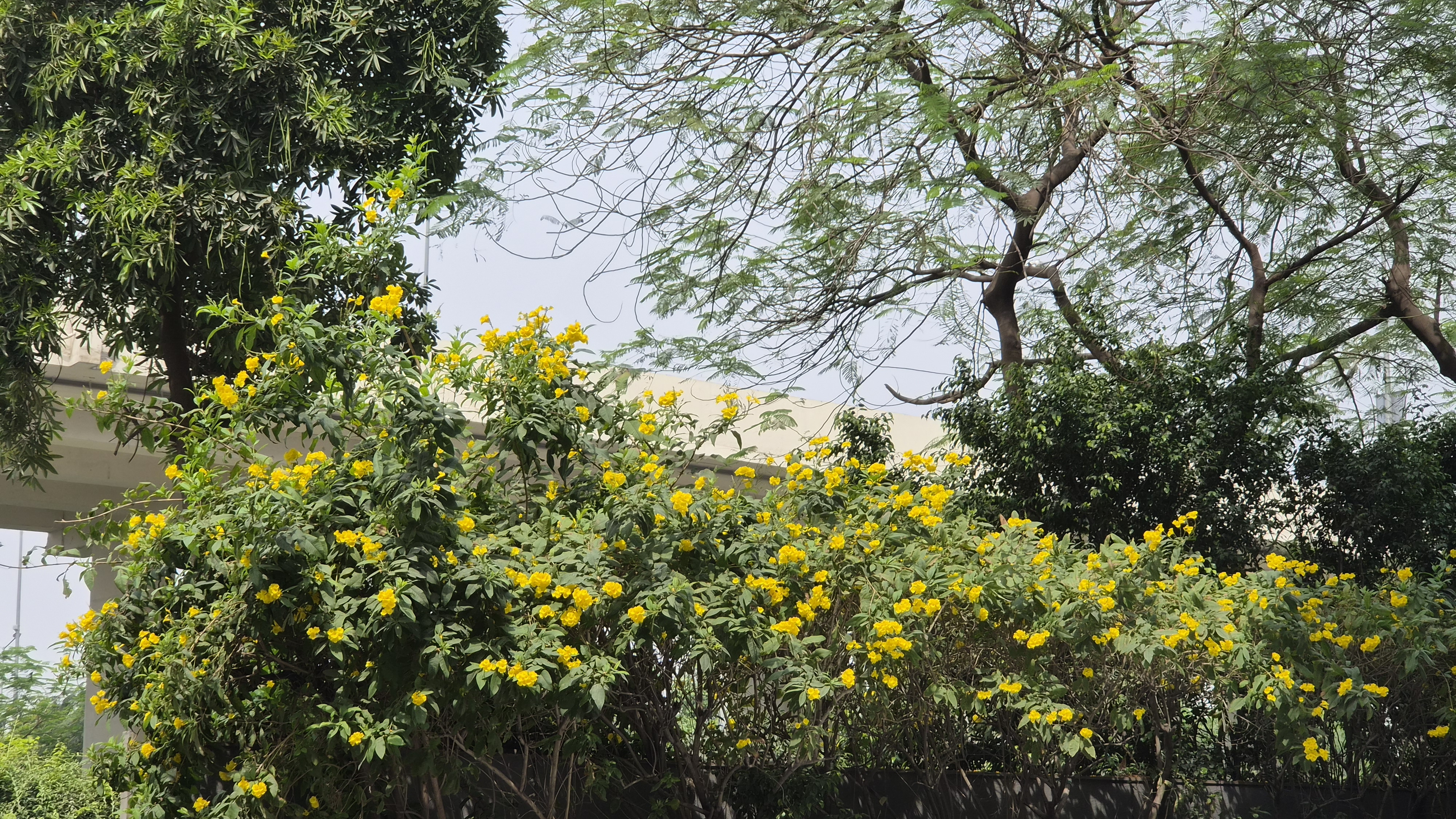 सैमसंग Galaxy S26 Camera इमेजिस