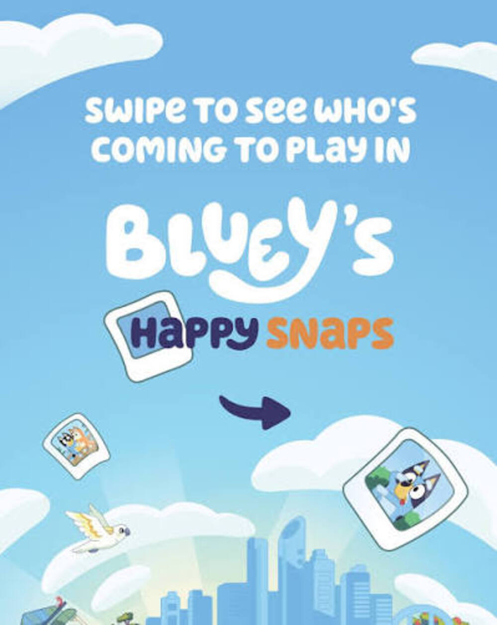 Bluey's Happy Snaps