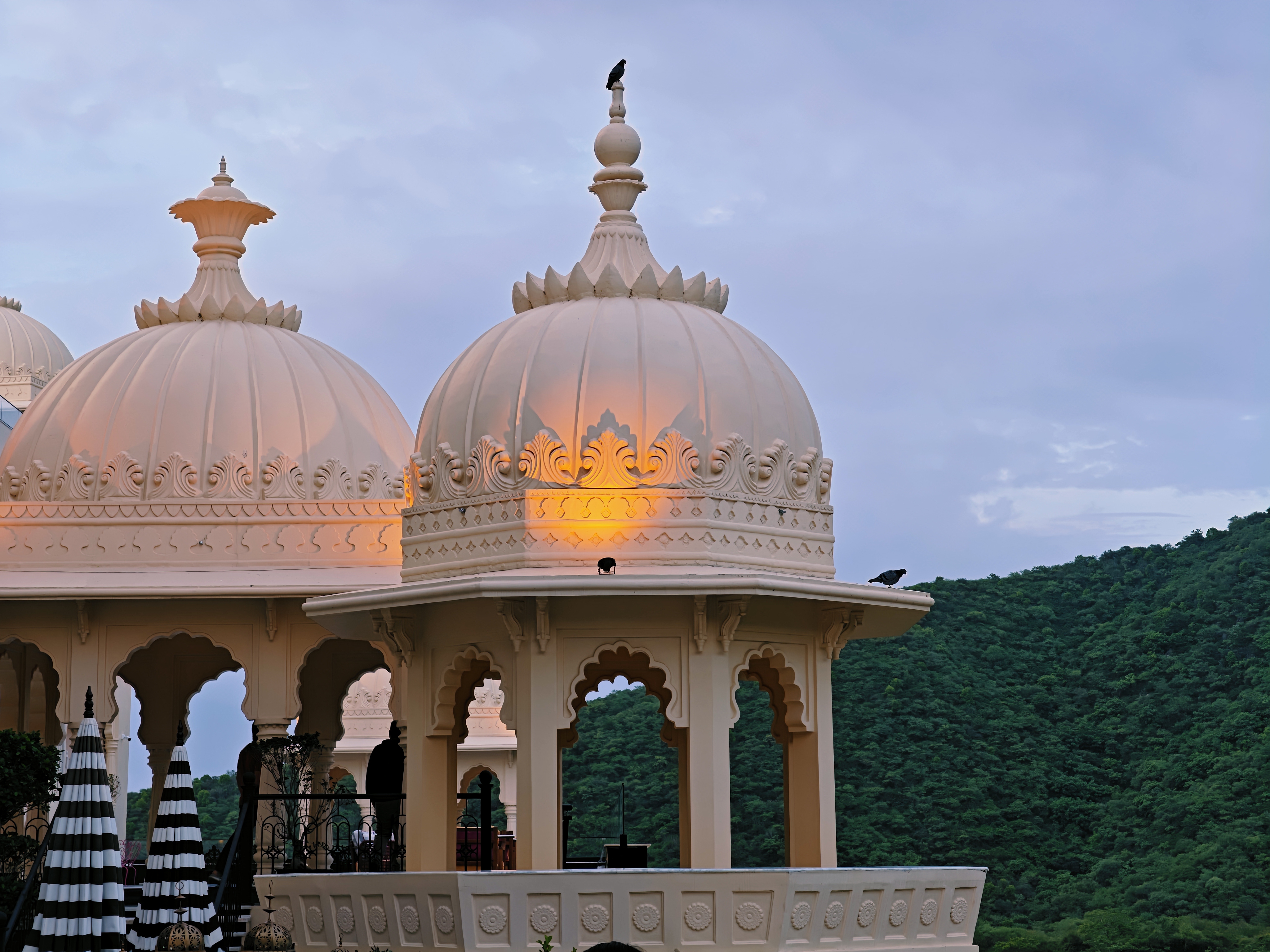 Vivo X Fold 5 Camera Images