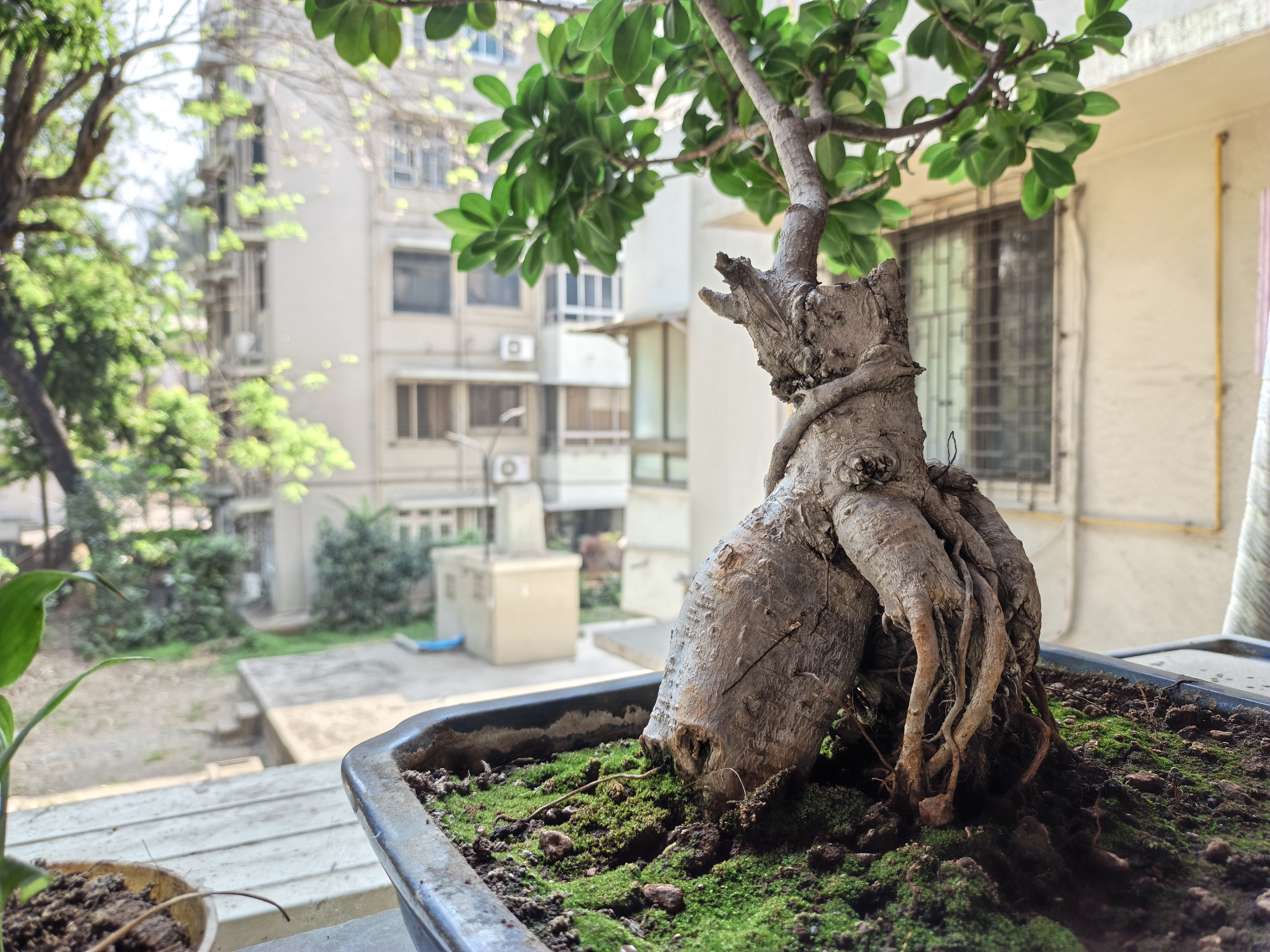 Tecno Pova Curve 2 5G Camera Images