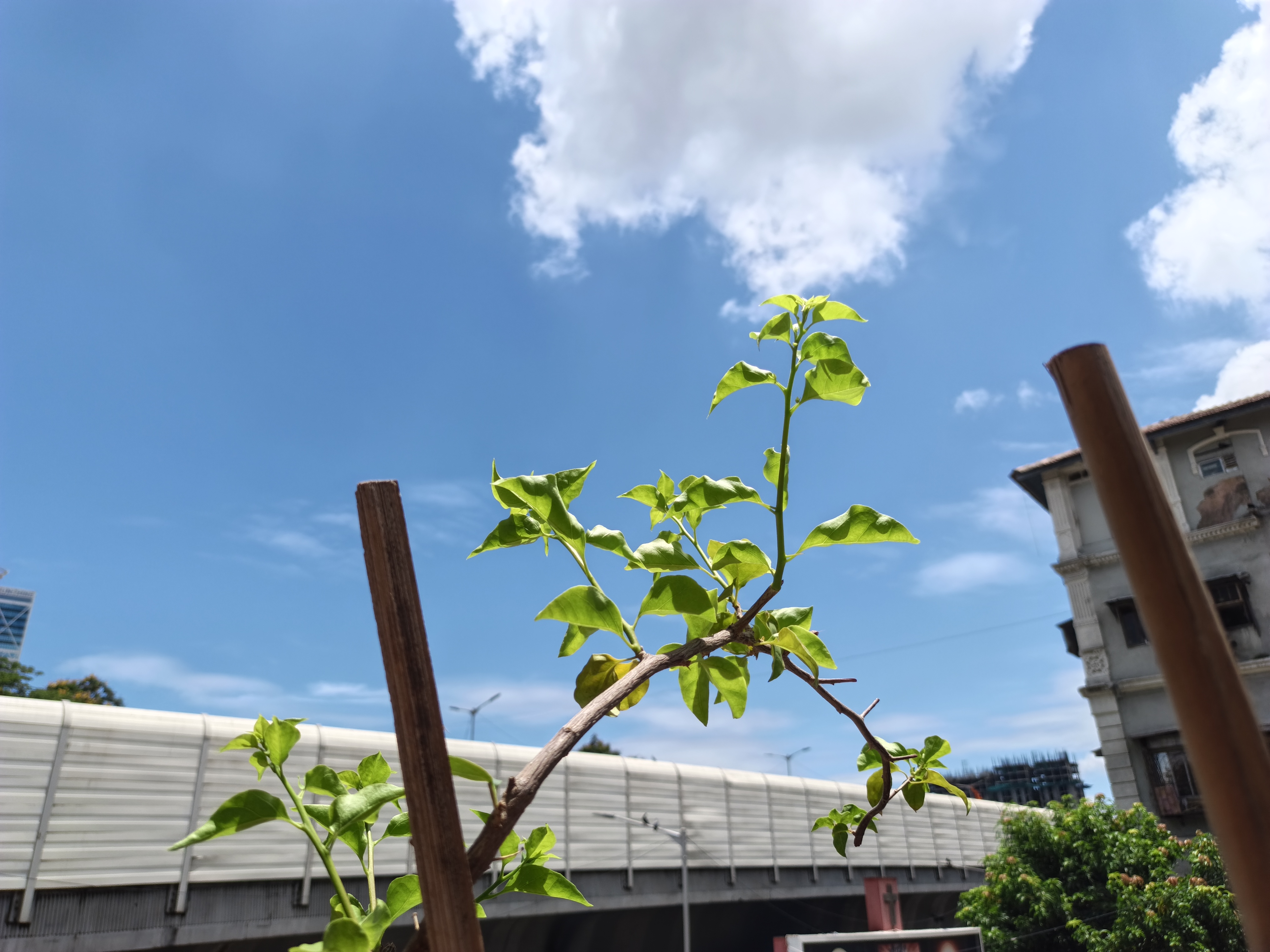 Infinix Note Edge Camera Images