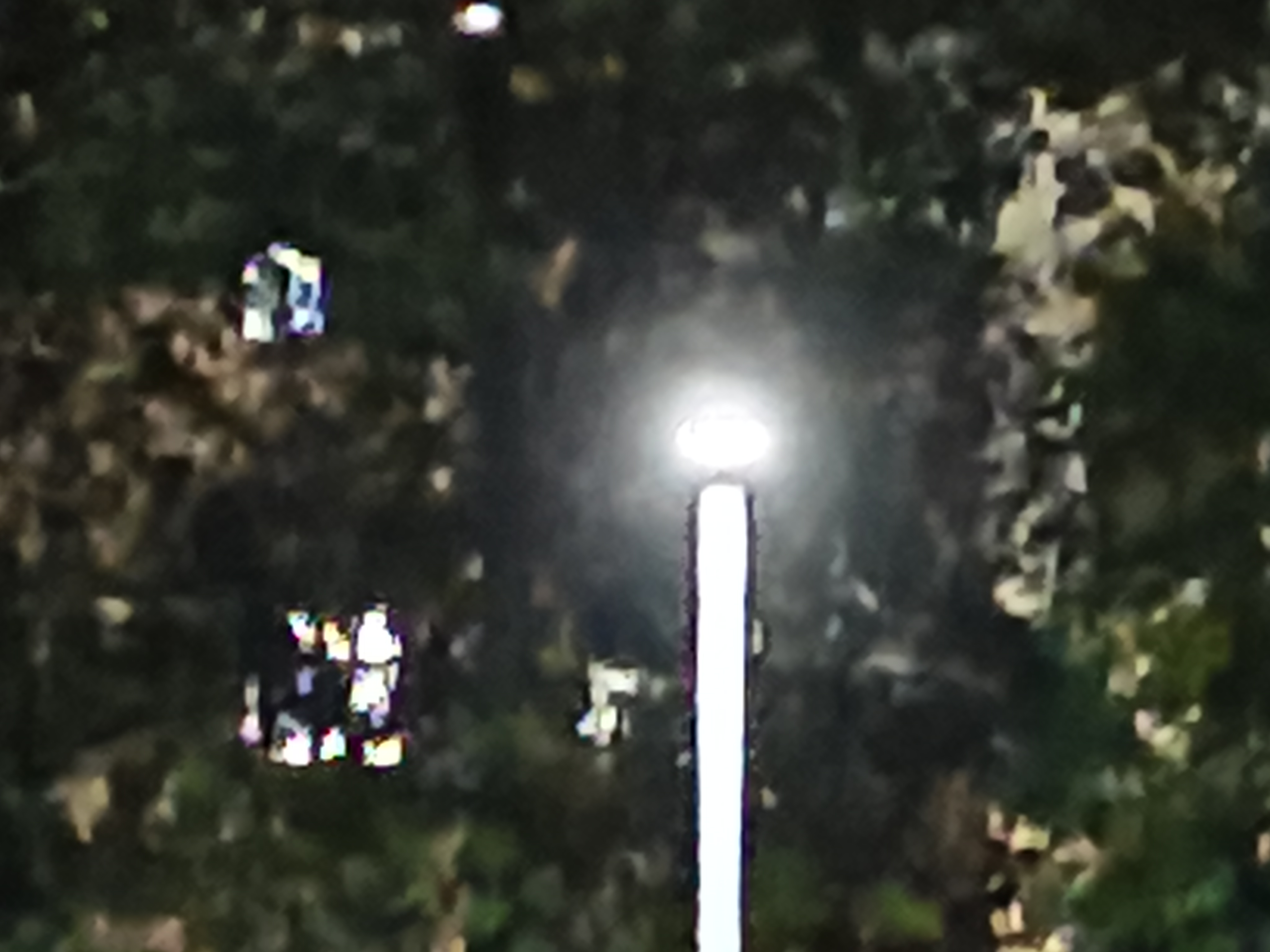 Vivo S2 Camera Images