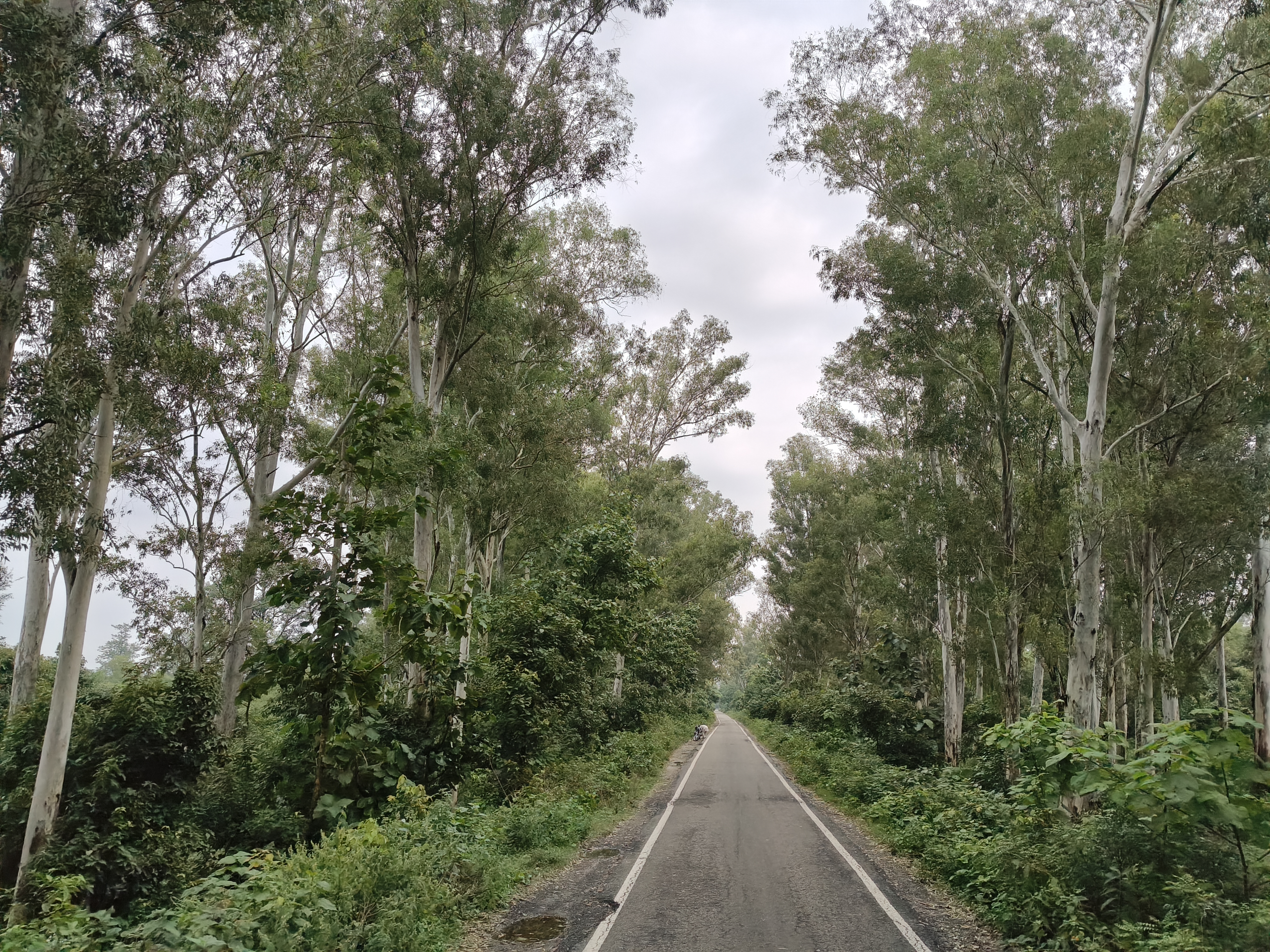 OPPO F35 Pro 5G Camera Images
