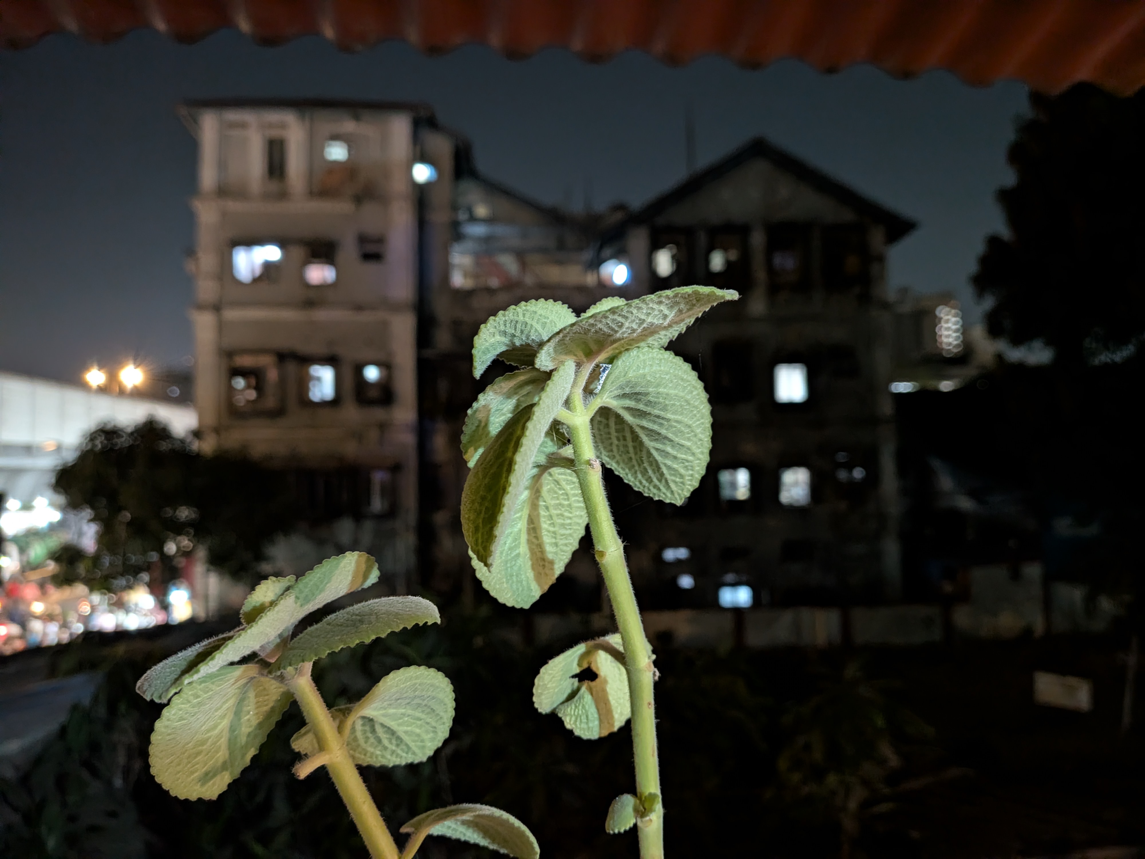 Google Pixel 10a Camera Images