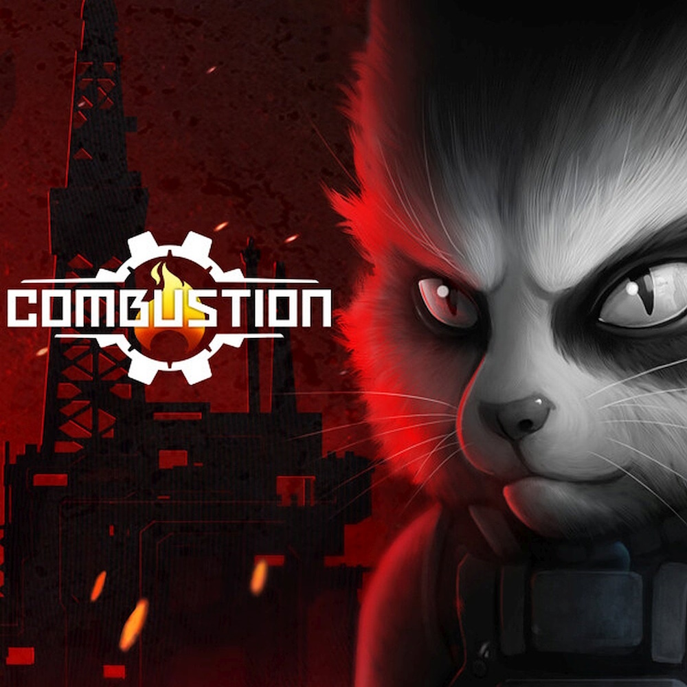 Combustion