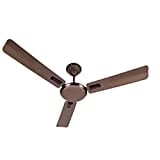 Eurolex Magna Ceiling Fan (Briken Gold)