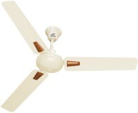 Gloster Olive Ceiling Fan (White)