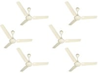 Black Cat Primo Ceiling Fan (Ivory)