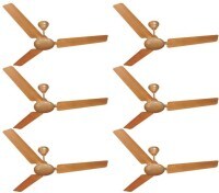 Black Cat Primo Ceiling Fan (Antique Copper)