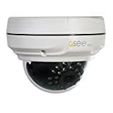 Q-See QTN8038D IP CCTV Security Camera (White)