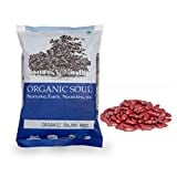 Organic Soul Rajma (Red, 500GM)