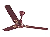 Black Cat Rapido Ceiling Fan (Brown)