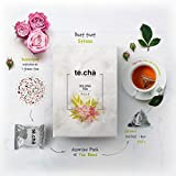 Te.Cha Rose Oolong Tea (82GM, 16 Pieces)