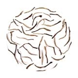 Teaswan Silver Needle White Tea (50GM)