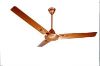 Super Star Skyron Decorative Ceiling Fan (Gold)