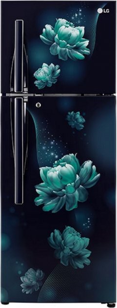 Compare LG 284 L Direct Cool Double Door 3 Star Refrigerator (GL S302RBCX)