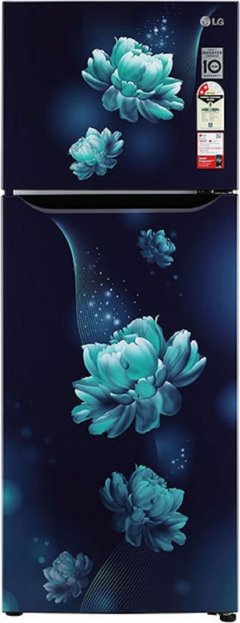 Compare LG 284 L Frost Free Double Door 2 Star Refrigerator (GL T302SBCY)