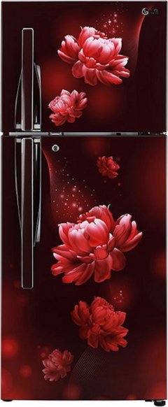 Compare LG 260 L Frost Free Double Door 3 Star Refrigerator (GL T292RSCX)