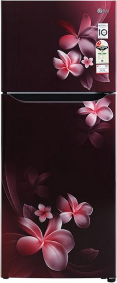 Compare LG 260 L Frost Free Double Door 2 Star Refrigerator (GL N292DSPY)