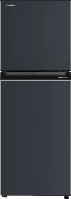 Toshiba 233 L Frost Free Double Door 2 Star Refrigerator (GR RT338WE PMI)