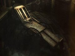 ASYLUM