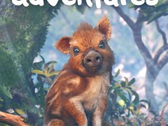 Adorable Adventures