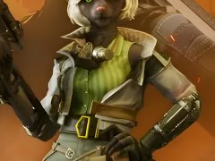 Wild Assault
