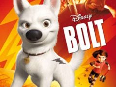 Compare Bolt