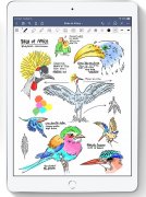 Apple iPad (2020) Wi-Fi