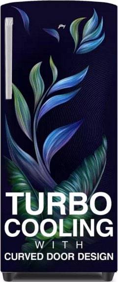 Godrej 183 L Direct Cool Single Door 2 Star Refrigerator (RD R 190B)