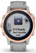 Garmin Fenix 6S
