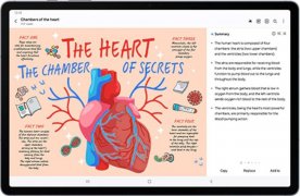 Compare Amazon Fire HD 8 (2024) vs Samsung Galaxy Tab S10+ (Wi-Fi)