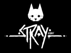 Compare Stray