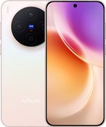 Vivo X300