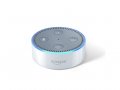 Amazon Echo Dot 2nd Gen Smart Speaker