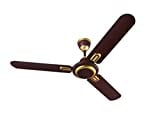 Anchor Steel Royal Gold Plus Ceiling Fan (Brown)
