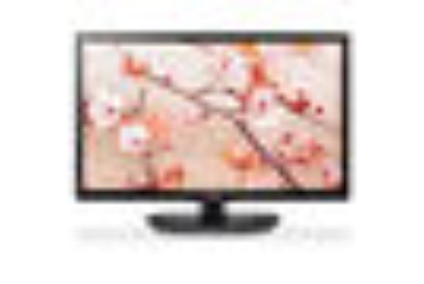 LG 20 Inch LED TV (20MN48)