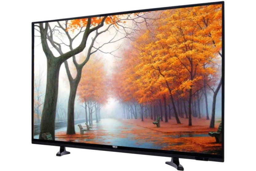 VibgyorNXT 48 Inch LED Full HD TV (48XXS)