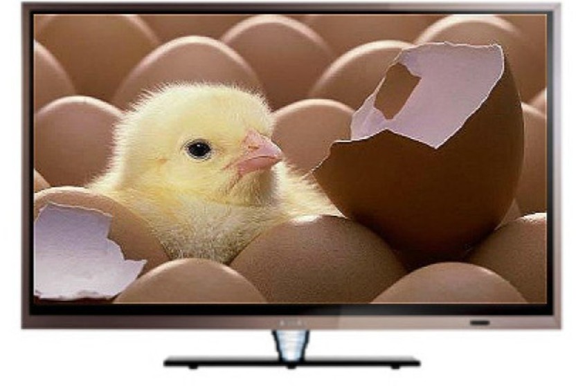 Onida 32 Inch LED Full HD TV (LEO32AFWIN)