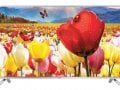 LG 47 Inch LED Full HD TV (47LB5820)