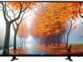 VibgyorNXT 48 Inch LED Full HD TV (48XXS)