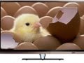 Onida 32 Inch LED Full HD TV (LEO32AFWIN)