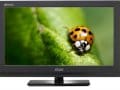 Mitashi 32 Inch LCD HD TV (MIC0V05)