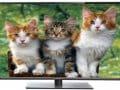 Akai 32 Inch LED TV (TAKASHI 32)