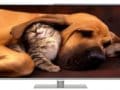 Panasonic 47 Inch LED Full HD TV (TH-L47DT50D)